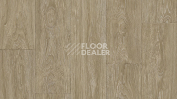 Линолеум Tarkett Club Maximus 2 фото 1 | FLOORDEALER