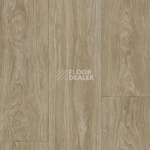 Линолеум Tarkett Club Maximus 2 фото 1 | FLOORDEALER