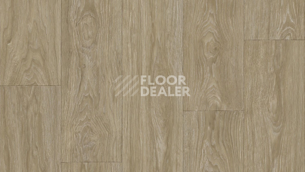 Линолеум Tarkett Club Maximus 2 фото 1 | FLOORDEALER