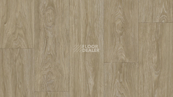 Линолеум Tarkett Club Maximus 2 фото 1 | FLOORDEALER