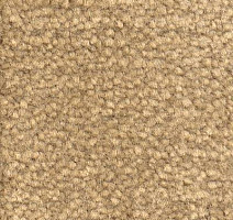 Ковролин Emphatic Beaulieu of America 56144 фото 1 | FLOORDEALER