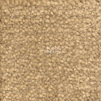 Ковролин Emphatic Beaulieu of America 56144 фото 1 | FLOORDEALER