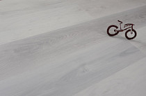 Evofloor Optima Click 4.2мм Дуб Снежный фото 5 | FLOORDEALER