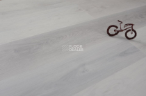 Evofloor Optima Click 4.2мм Дуб Снежный фото 5 | FLOORDEALER