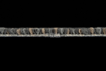 Beach 2011-12 фото 3 | FLOORDEALER