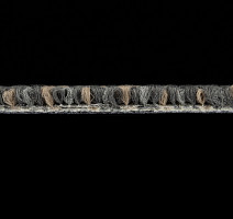 Beach 2011-12 фото 3 | FLOORDEALER