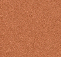 Линолеум Forbo Marmoleum Bulletin Board 2207 cinnamon bark фото 1 | FLOORDEALER