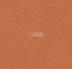 Линолеум Forbo Marmoleum Bulletin Board 2207 cinnamon bark фото 1 | FLOORDEALER