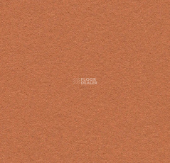 Forbo Marmoleum Bulletin Board 2207 cinnamon bark фото 1 | FLOORDEALER