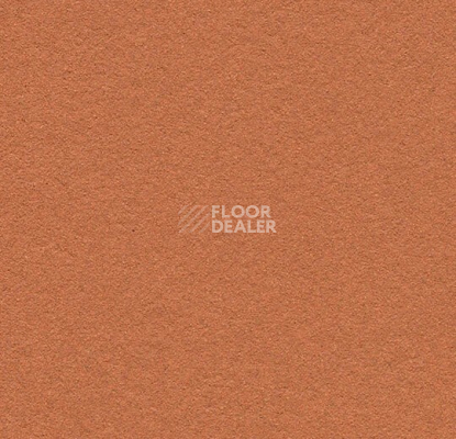 Линолеум Forbo Marmoleum Bulletin Board 2207 cinnamon bark фото 1 | FLOORDEALER
