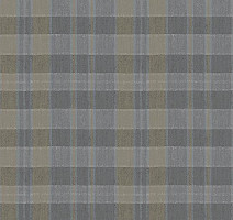 Ковролин Flotex Vision Pattern 590018 (Plaid) Steam фото 1 | FLOORDEALER