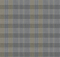Ковролин Flotex Vision Pattern 590018 (Plaid) Steam фото 1 | FLOORDEALER