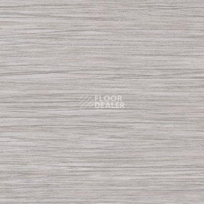 Линолеум Taralay Initial Compact (wood) 0826 Filament Grey фото 1 | FLOORDEALER