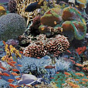 Ковролин Halbmond Pure Elements 13847  | FLOORDEALER