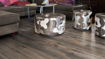 Kronotex Mammut d4792 Дуб Серый Макро фото 3 | FLOORDEALER