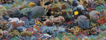 Ковролин Halbmond Pure Elements 13847 фото 1 | FLOORDEALER