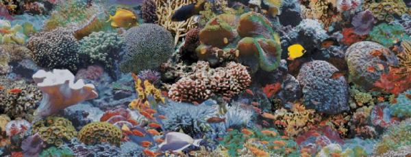 Ковролин Halbmond Pure Elements 13847 фото 1 | FLOORDEALER