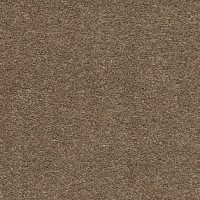 Ковролин AW Sauvage 36 фото 1 | FLOORDEALER