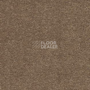 Ковролин AW Sauvage 36 фото 1 | FLOORDEALER
