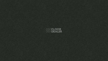 Линолеум Tarkett iq Melodia 2648 фото 1 | FLOORDEALER