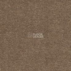 Ковролин AW Sauvage 36 фото 1 | FLOORDEALER