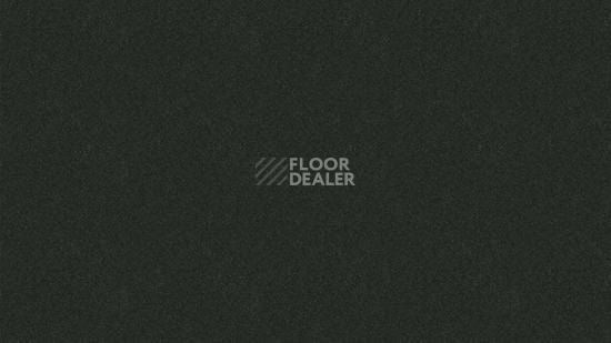 Линолеум Tarkett iq Melodia 2648 фото 1 | FLOORDEALER