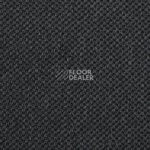 Ковролин Carpet Concept Yve 2 6406 фото 1 | FLOORDEALER