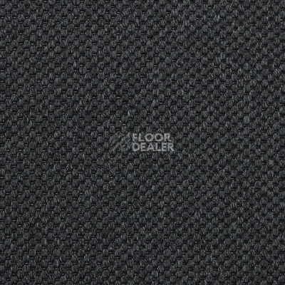 Ковролин Carpet Concept Yve 2 6406 фото 1 | FLOORDEALER