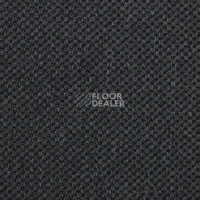 Ковролин Carpet Concept Yve 2 6406 фото 1 | FLOORDEALER