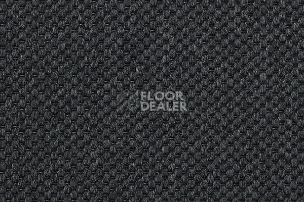 Ковролин Carpet Concept Yve 2 6406 фото 1 | FLOORDEALER