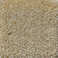 Ковролин Big Caresse 810 фото 1 | FLOORDEALER