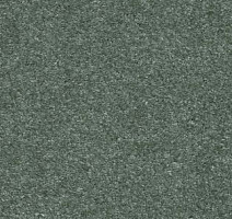 Ковролин AW Sensation 28 фото 1 | FLOORDEALER