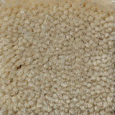 Big Caresse 810 фото 1 | FLOORDEALER