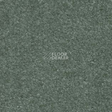 Ковролин AW Sensation 28 фото 1 | FLOORDEALER
