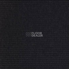 Ковролин Carpet Concept Eco 2 6701 фото 1 | FLOORDEALER