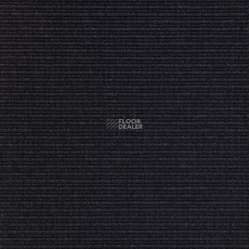 Carpet Concept Eco 2 6701 фото 1 | FLOORDEALER