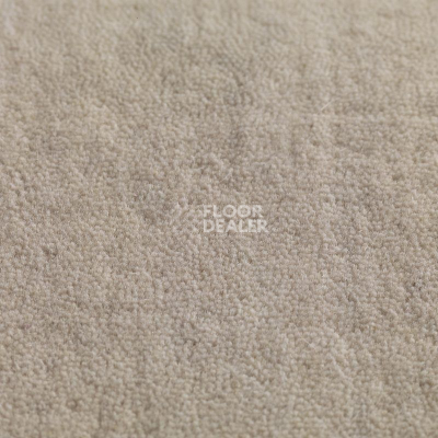 Ковролин Jacaranda Carpets Jaspur Cowrie фото 1 | FLOORDEALER