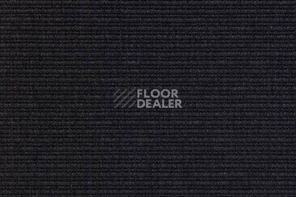 Ковролин Carpet Concept Eco 2 6701 фото 1 | FLOORDEALER
