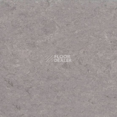 Линолеум Marmorette DLW  2mm 0153 Greystone Grey фото 1 | FLOORDEALER