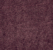 Ковролин AW Masquerade Fedone 19 фото 1 | FLOORDEALER