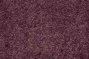 Ковролин AW Masquerade Fedone 19 фото  | FLOORDEALER