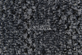 Balsan Take a Walk 970 Take a Walk фото 3 | FLOORDEALER