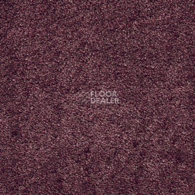 Ковролин AW Masquerade Fedone 19 фото 1 | FLOORDEALER