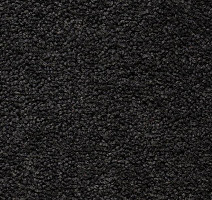 Ковролин Best Wool Pure Brunel c 70002 фото 1 | FLOORDEALER