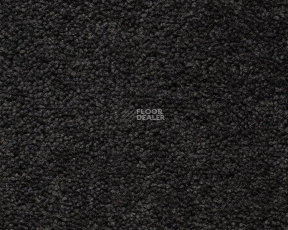 Best Wool Pure Brunel c 70002 фото 1 | FLOORDEALER