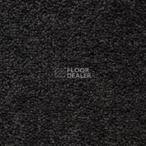 Ковролин Best Wool Pure Brunel c 70002 фото 1 | FLOORDEALER