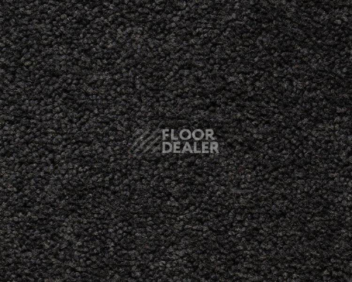 Ковролин Best Wool Pure Brunel c 70002 фото 1 | FLOORDEALER