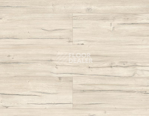 Ламинат Kronopol Platinium Holiday AQUA BLOCK 8mm Kronopol Platinium Holiday Aqua Block 24h Дуб Мальдивы D40214 фото 1 | FLOORDEALER