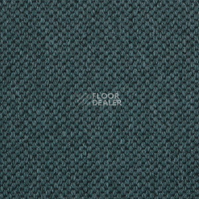 Ковролин Carpet Concept Yve 2 6438 фото 1 | FLOORDEALER