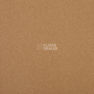 Линолеум Lg Comfort AC10105 фото 1 | FLOORDEALER